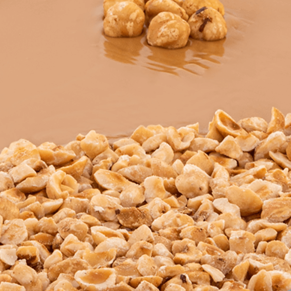 Nutman-group-gelateria-pasticceria-decorazioni-prodotto-(Cremini Torino)-(Cremino Torino Nocciola zoom)