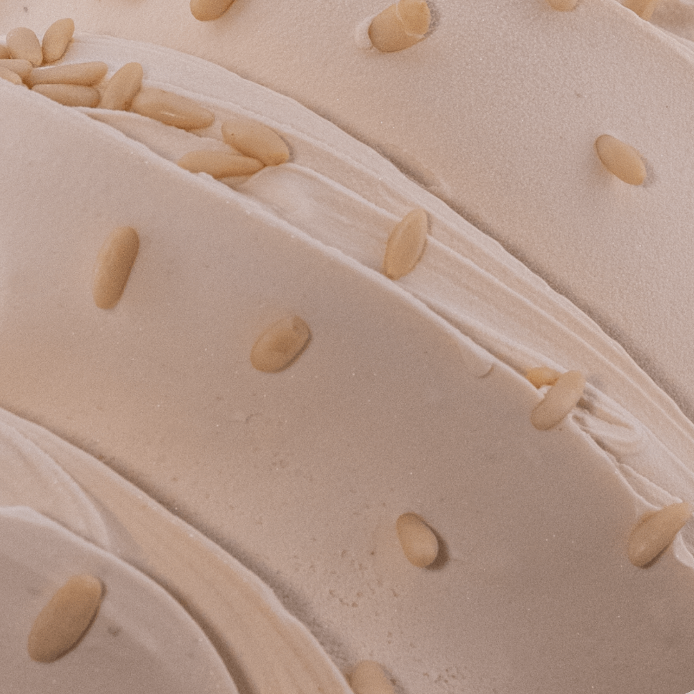 Nutman-group-gelateria-pasticceria-decorazioni-prodotto-(Paste Classiche)-(Pinolo zoom)