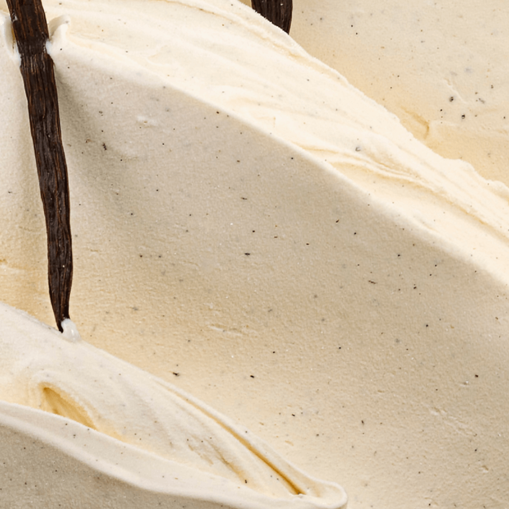 Nutman-group-gelateria-pasticceria-decorazioni-prodotto-(Paste Classiche)-(Vaschetta Ovovan con Bacche zoom)