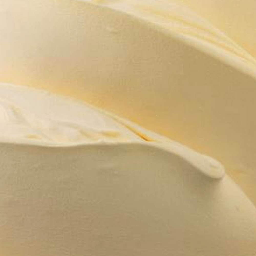 Nutman-group-gelateria-pasticceria-decorazioni-prodotto-(Paste Classiche)-(Vaschetta Zabaglione zoom)