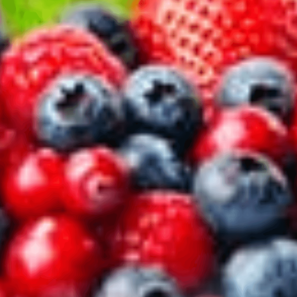 Nutman-group-gelateria-pasticceria-decorazioni-prodotto-(Polvere Frutta)-(Frutti di Bosco zoom)