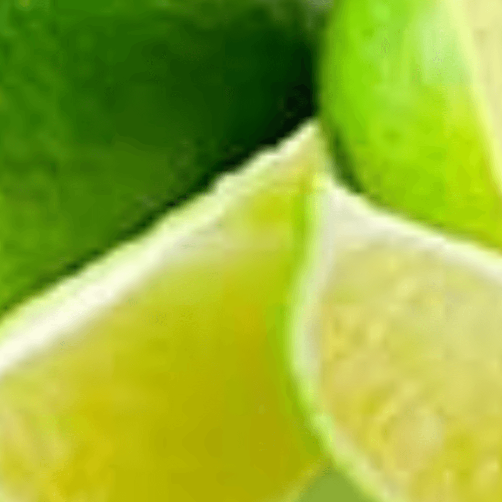 Nutman-group-gelateria-pasticceria-decorazioni-prodotto-(Polvere Frutta)-(Lime zoom)