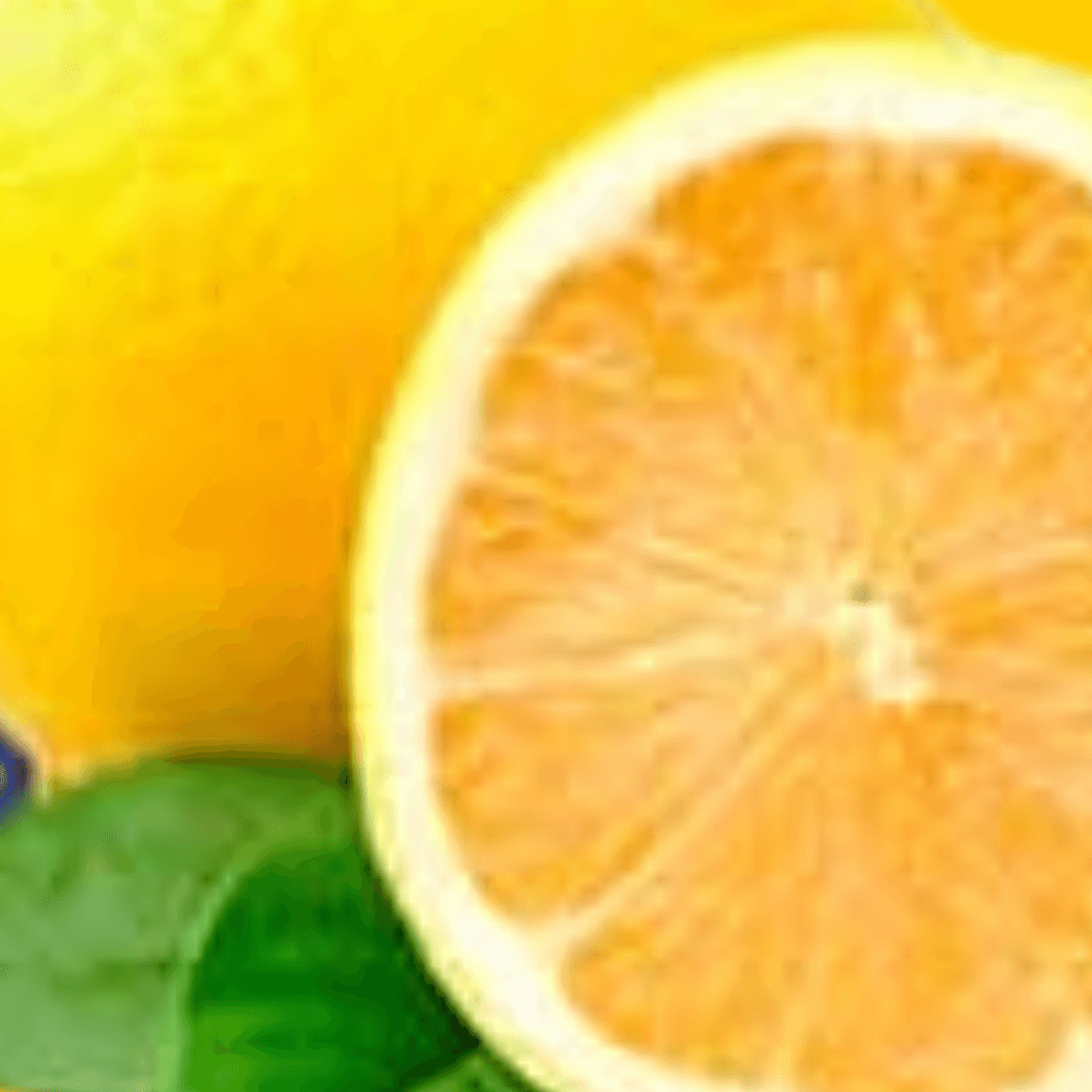 Nutman-group-gelateria-pasticceria-decorazioni-prodotto-(Polvere Frutta)-(Limone zoom)